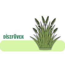 Díszfüvek