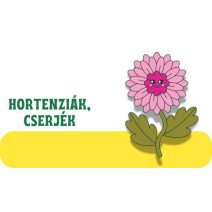 Hortenziák, cserjék